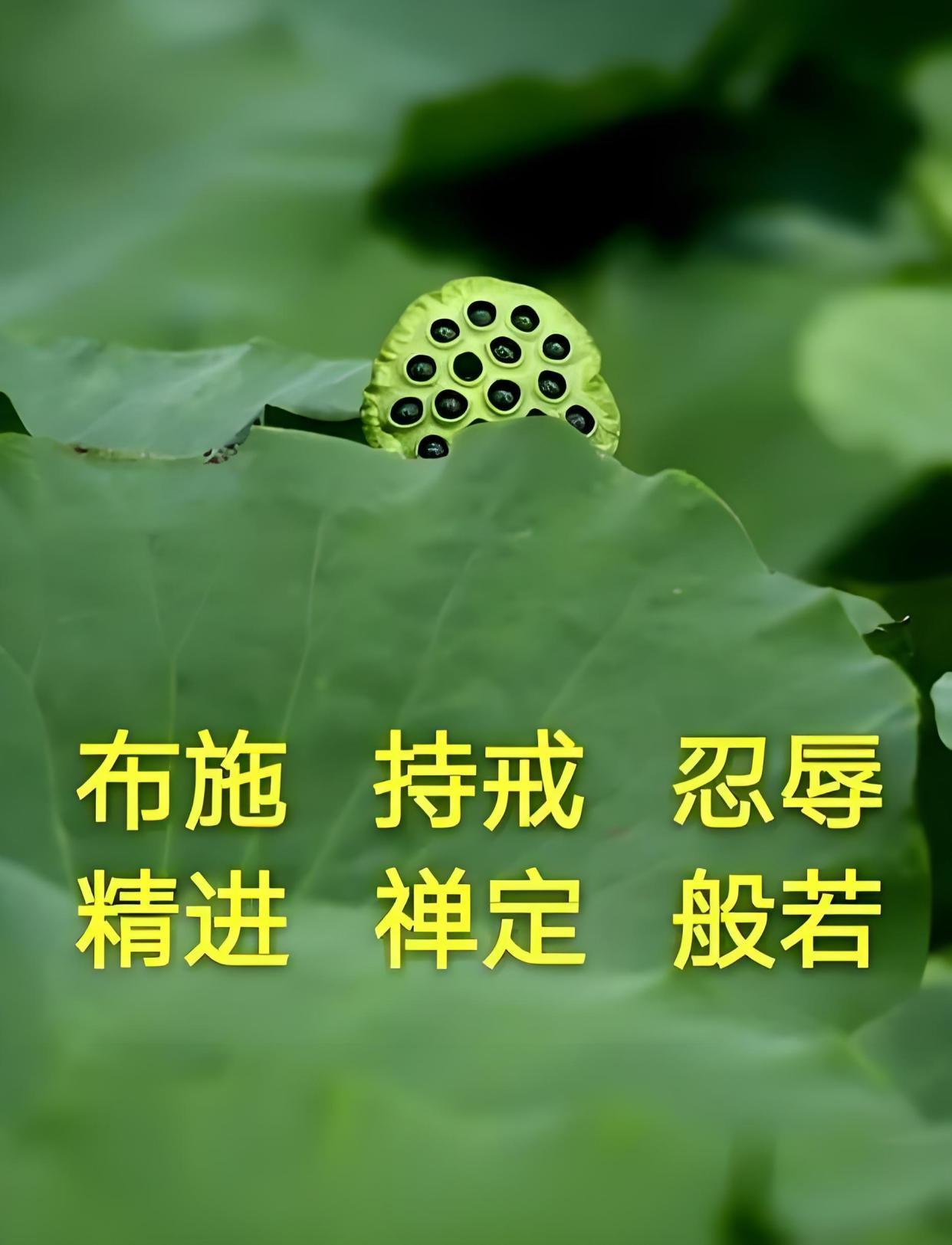心经生命科学,心经的生门穴功能主治