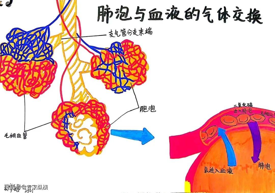 生命科学的魅力课程,生命科学经典教材系列