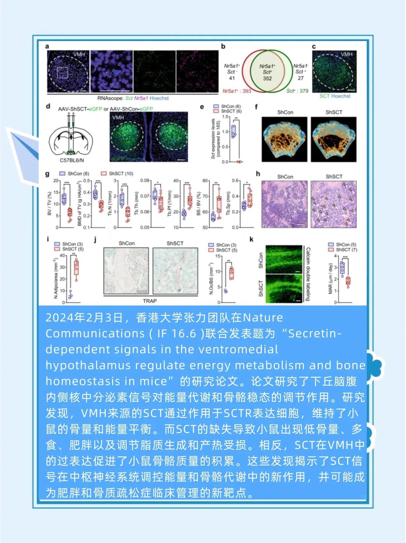 生命科学领域前景,生命科学领域的科技前沿有哪些