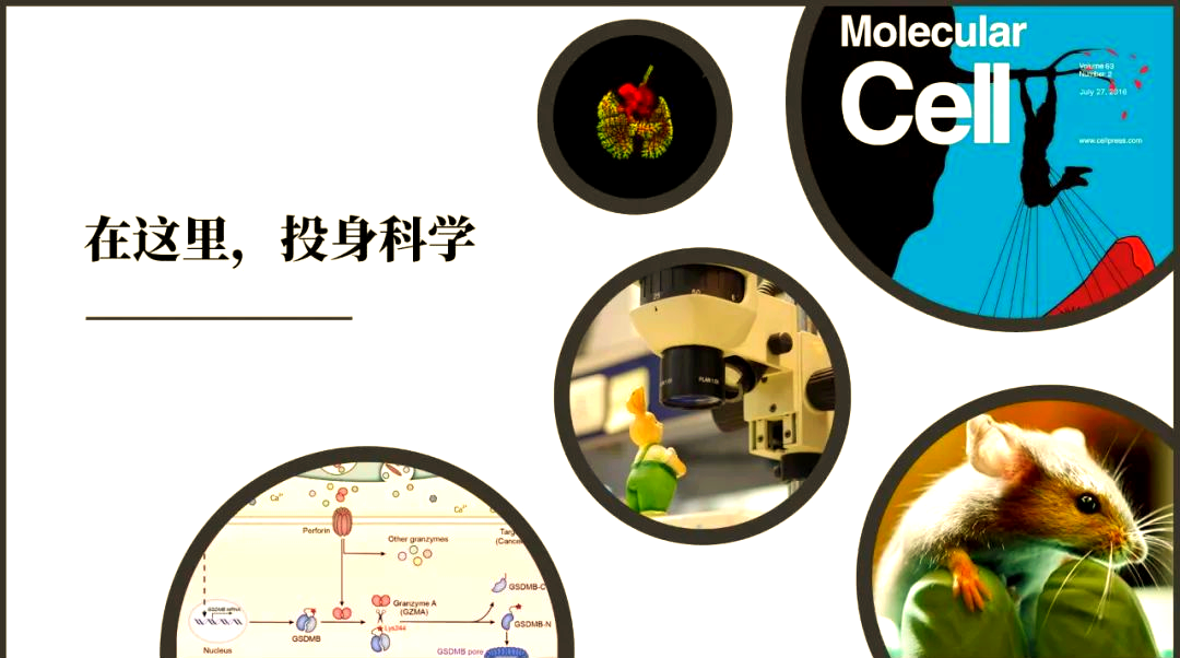 最感兴趣生命科学成果,最感兴趣生命科学成果有哪些 最感兴趣生命科学成果,最感兴趣生命科学成果有哪些