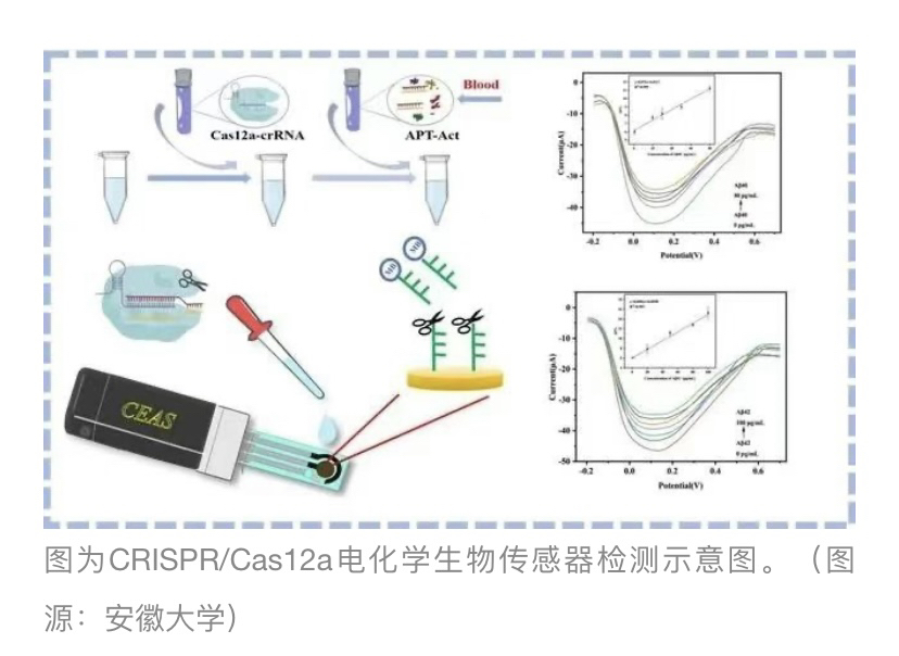 最感兴趣生命科学成果,最感兴趣生命科学成果有哪些 最感兴趣生命科学成果,最感兴趣生命科学成果有哪些