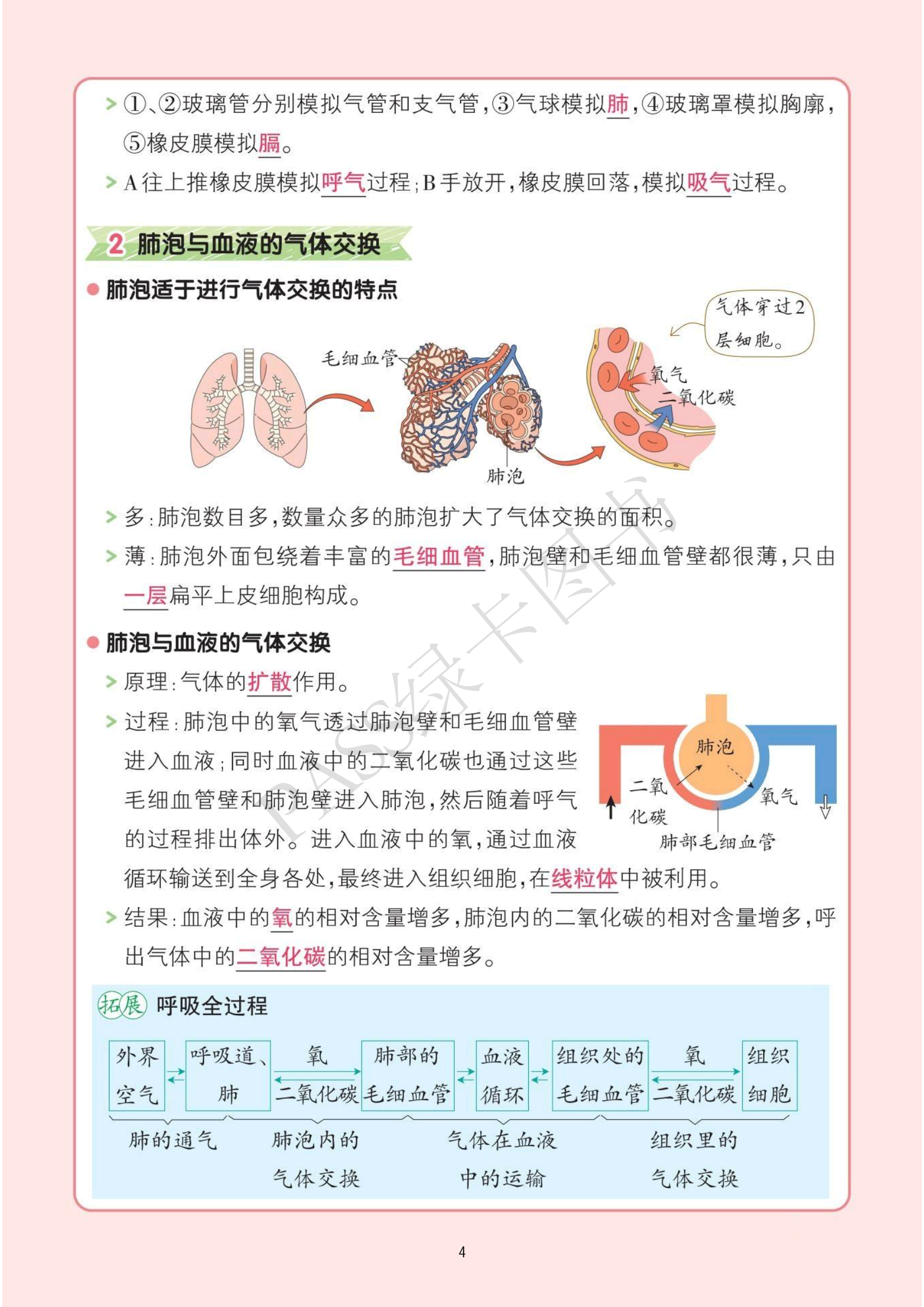生命科学笔记人体,生命与科学书本人体解剖学 生命科学笔记人体,生命与科学书本人体解剖学
