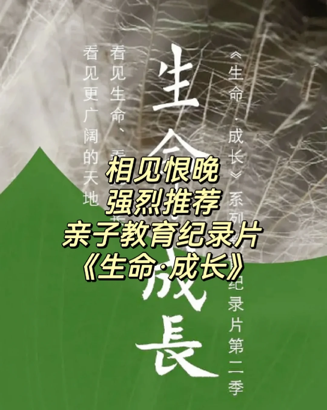 生命科学研究纪录片,生命科学研究纪录片有哪些 生命科学研究纪录片,生命科学研究纪录片有哪些