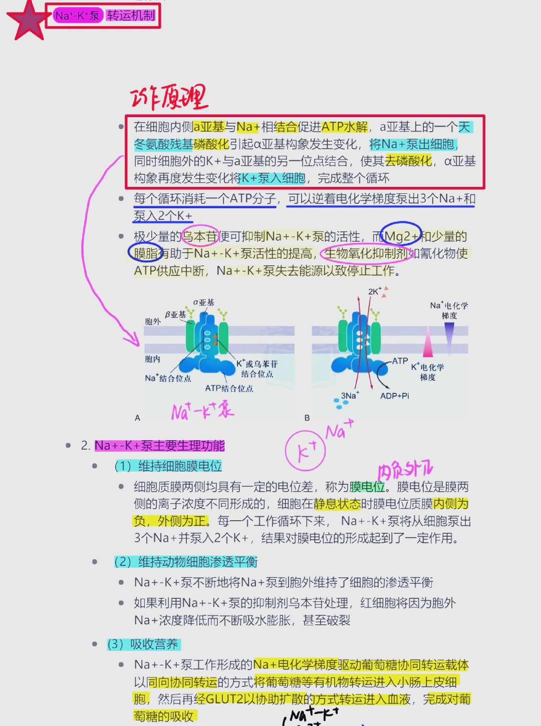 《生命科学基础,生命科学概论电子版pdf 《生命科学基础,生命科学概论电子版pdf