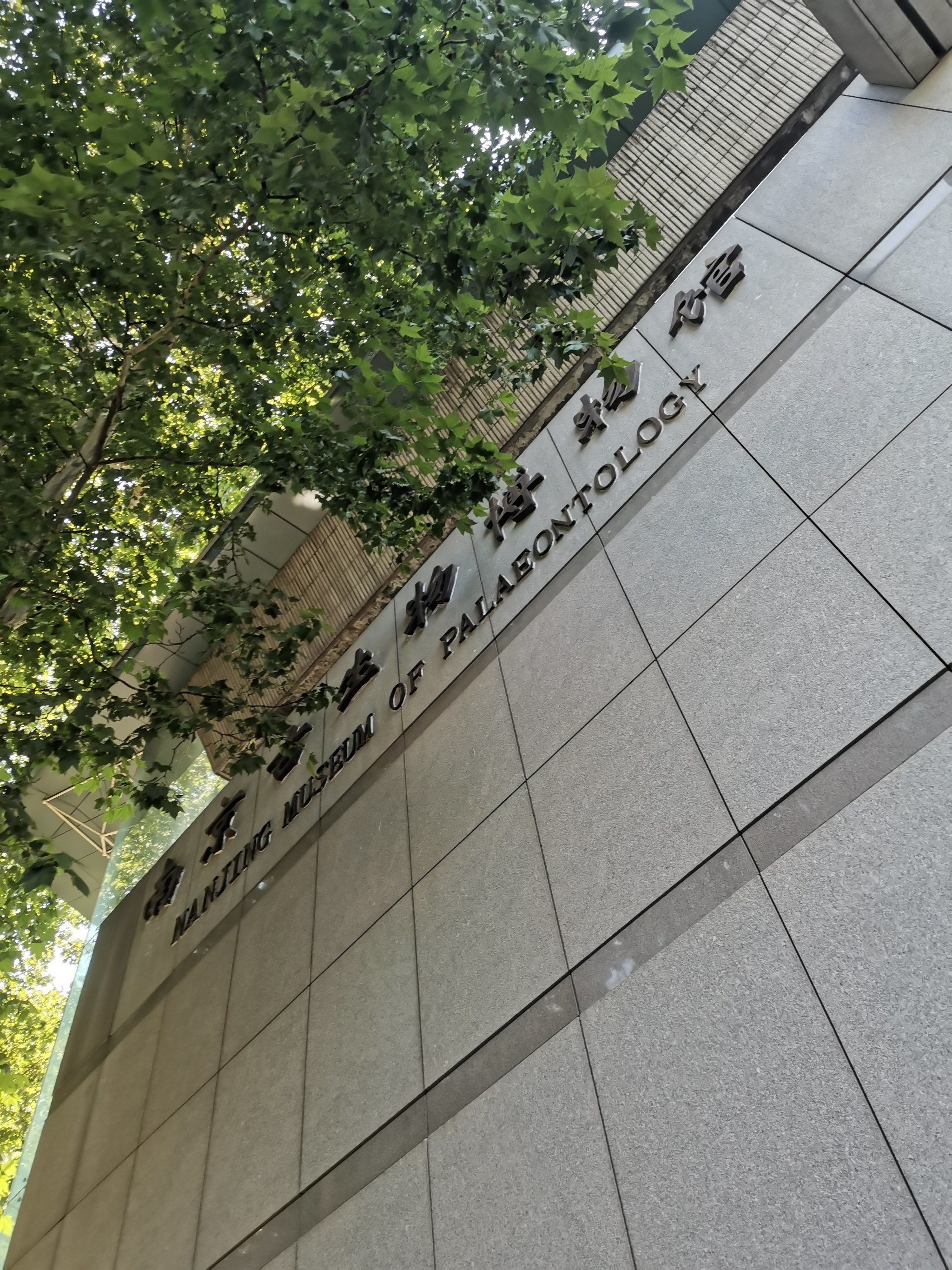 国基地球科学学部,国基自然科学基金委