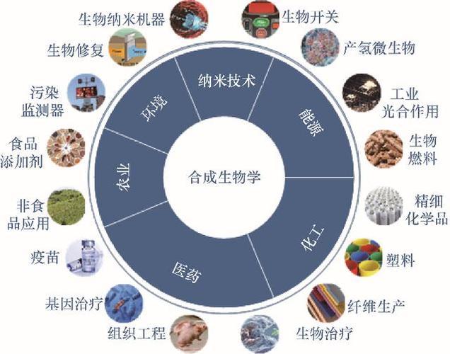 生命科学细化专业,生命科学细化专业学什么