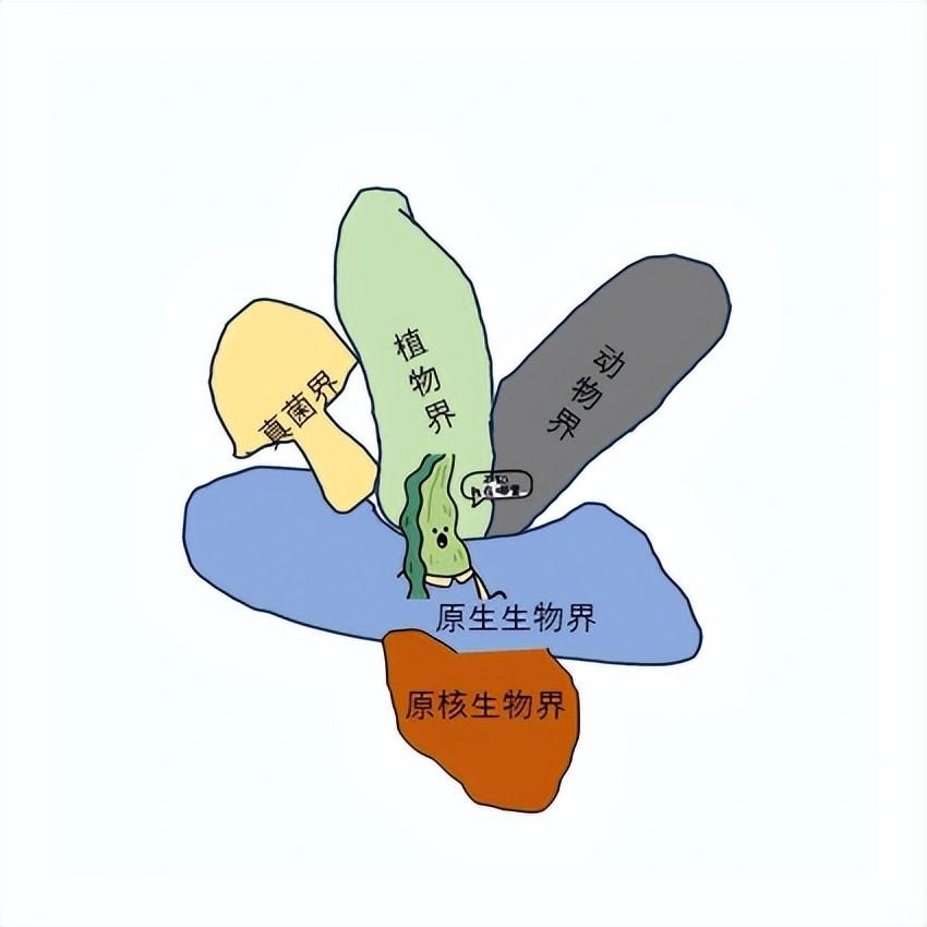 生命科学的种类和特点,生命科学的种类和特点有哪些
