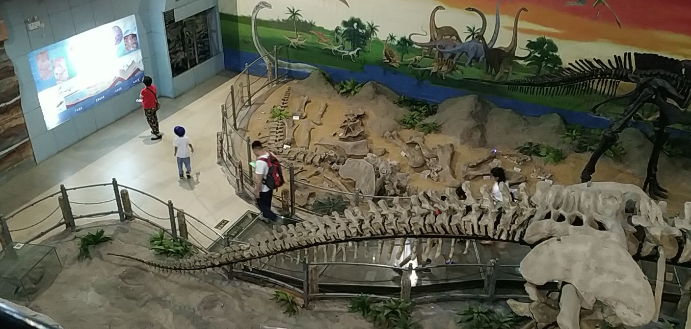 地球科学馆地址在哪,地球科学science