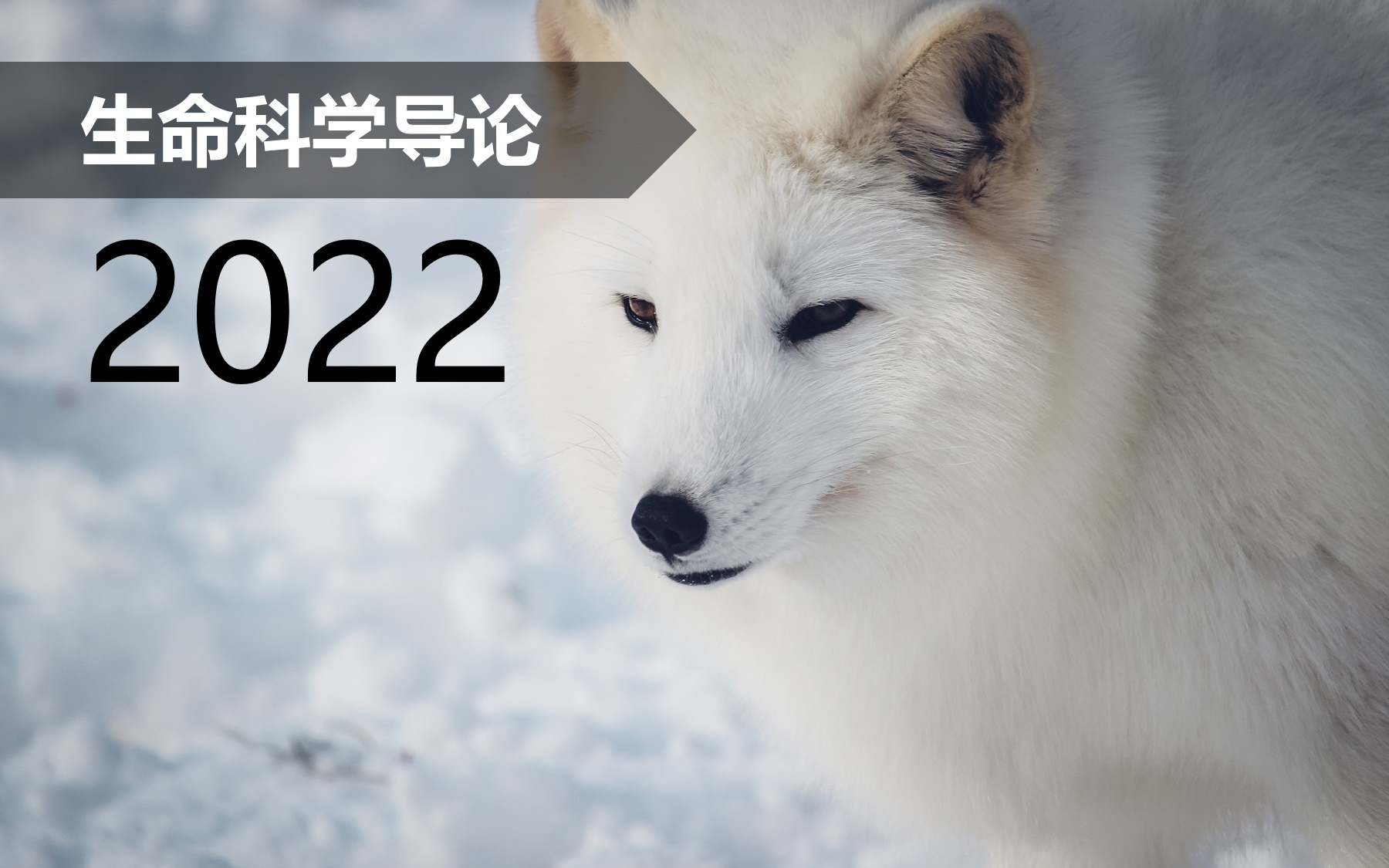 生命科学导论指导,生命科学导论张惟杰主编第四版 生命科学导论指导,生命科学导论张惟杰主编第四版