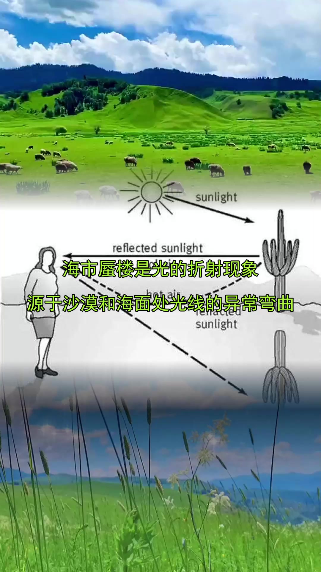 物理世界的成因有哪些,物理世界的成因有哪些方面