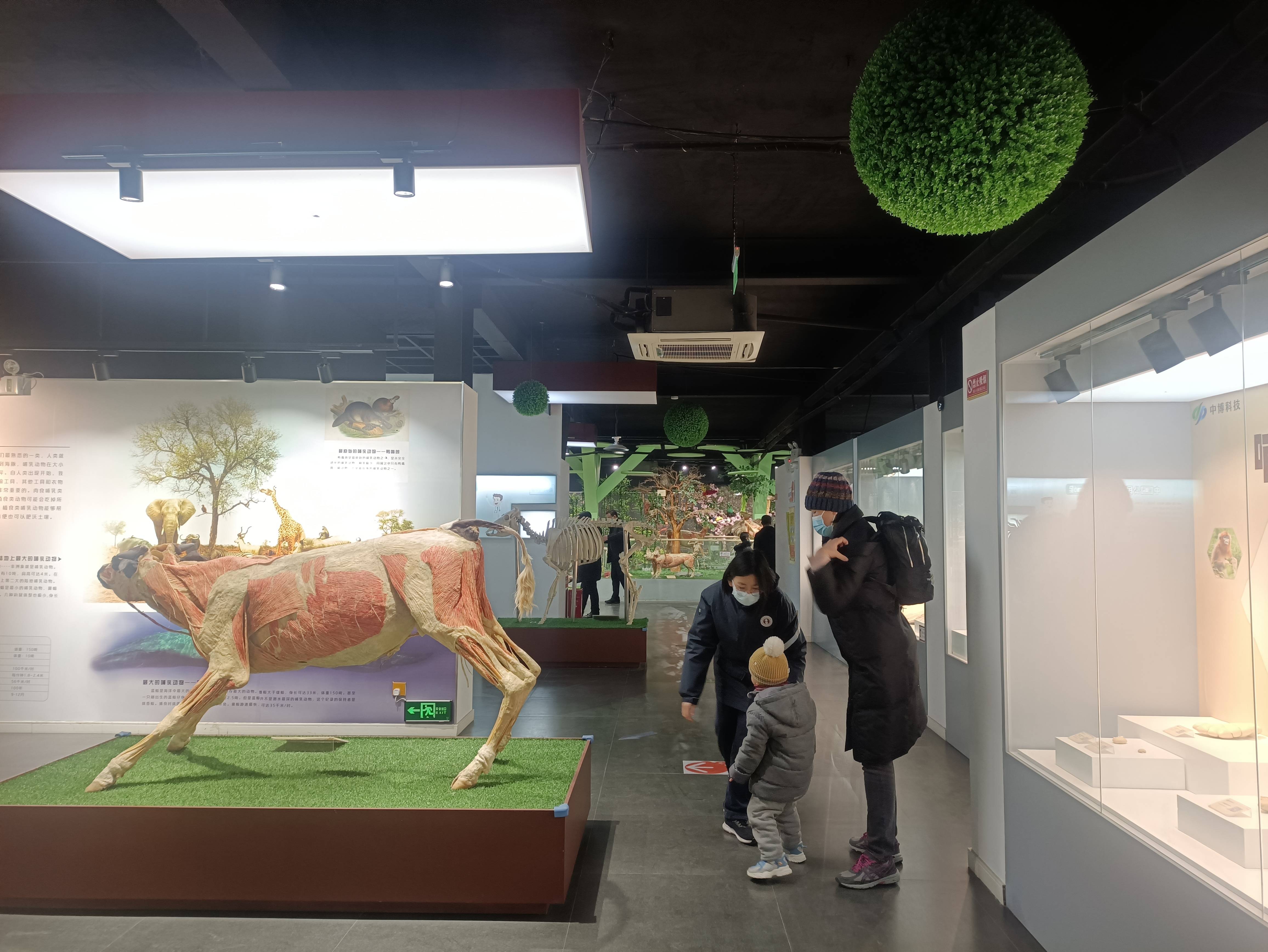 兴华生命科学馆在哪儿,秦皇岛中国生命科学院在哪里