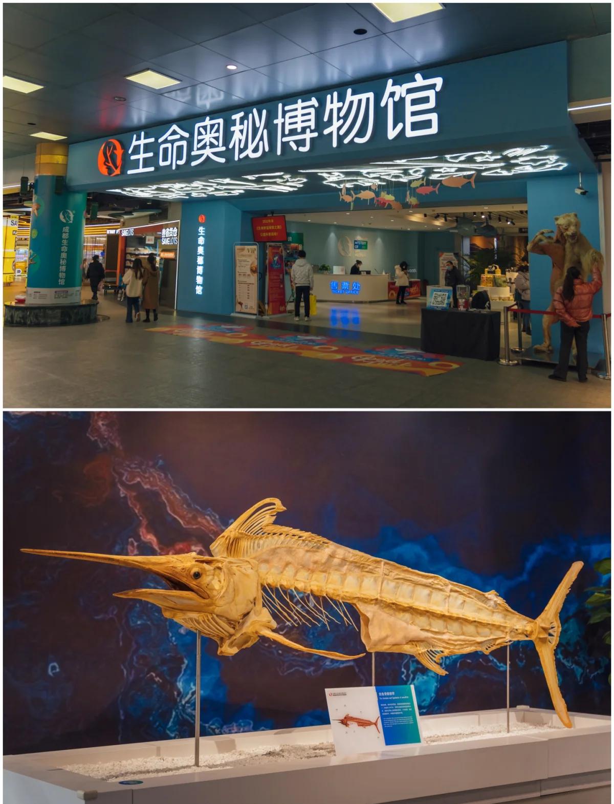 兴华生命科学馆在哪儿,秦皇岛中国生命科学院在哪里 兴华生命科学馆在哪儿,秦皇岛中国生命科学院在哪里