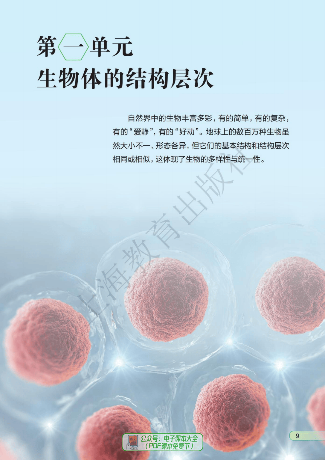 上海初中生命科学视频,上海市中学生命科学课程标准