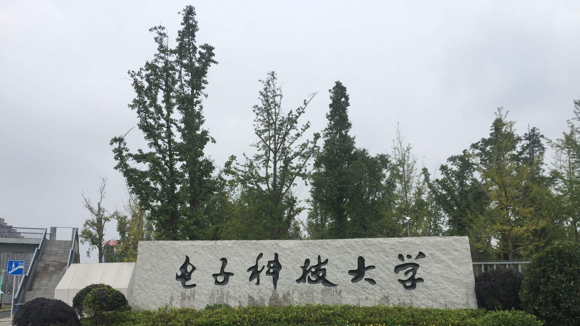 上科大生命科学院官网,上科大生命学院就业前景 上科大生命科学院官网,上科大生命学院就业前景