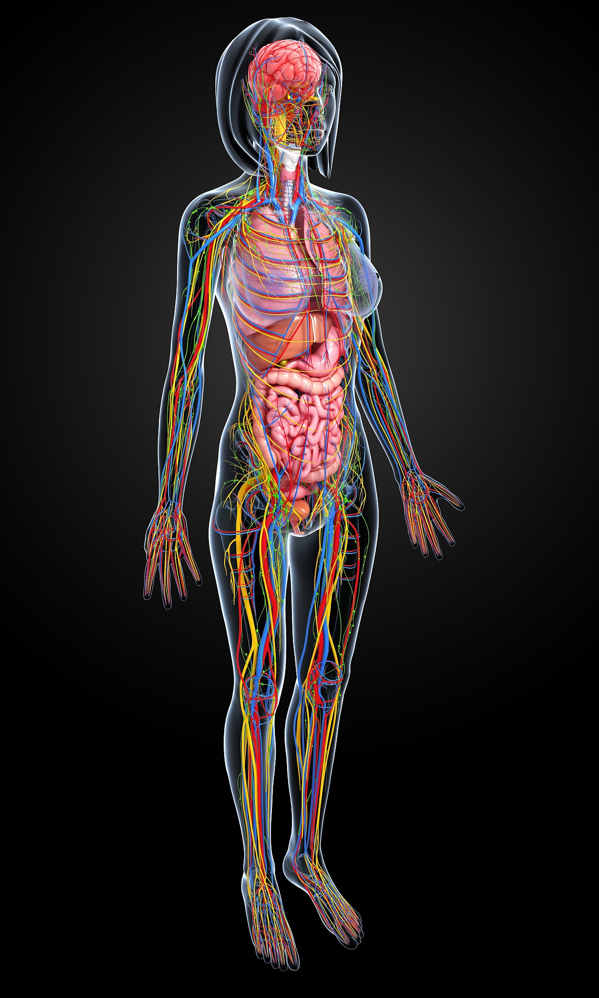 人体认知生命科学,人体生命科学馆讲解