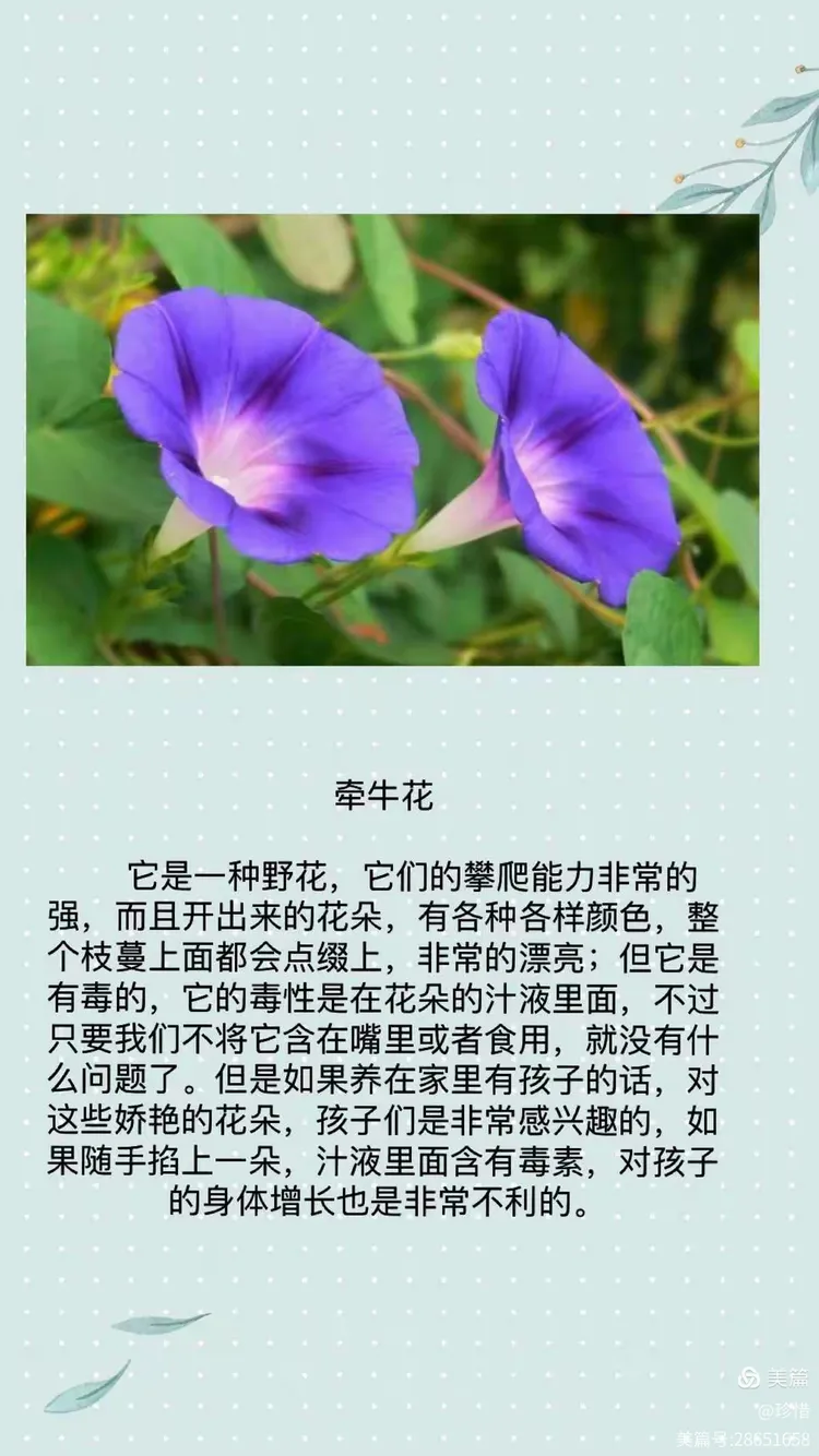 大班疫情生命科学,大班科学生命的诞生