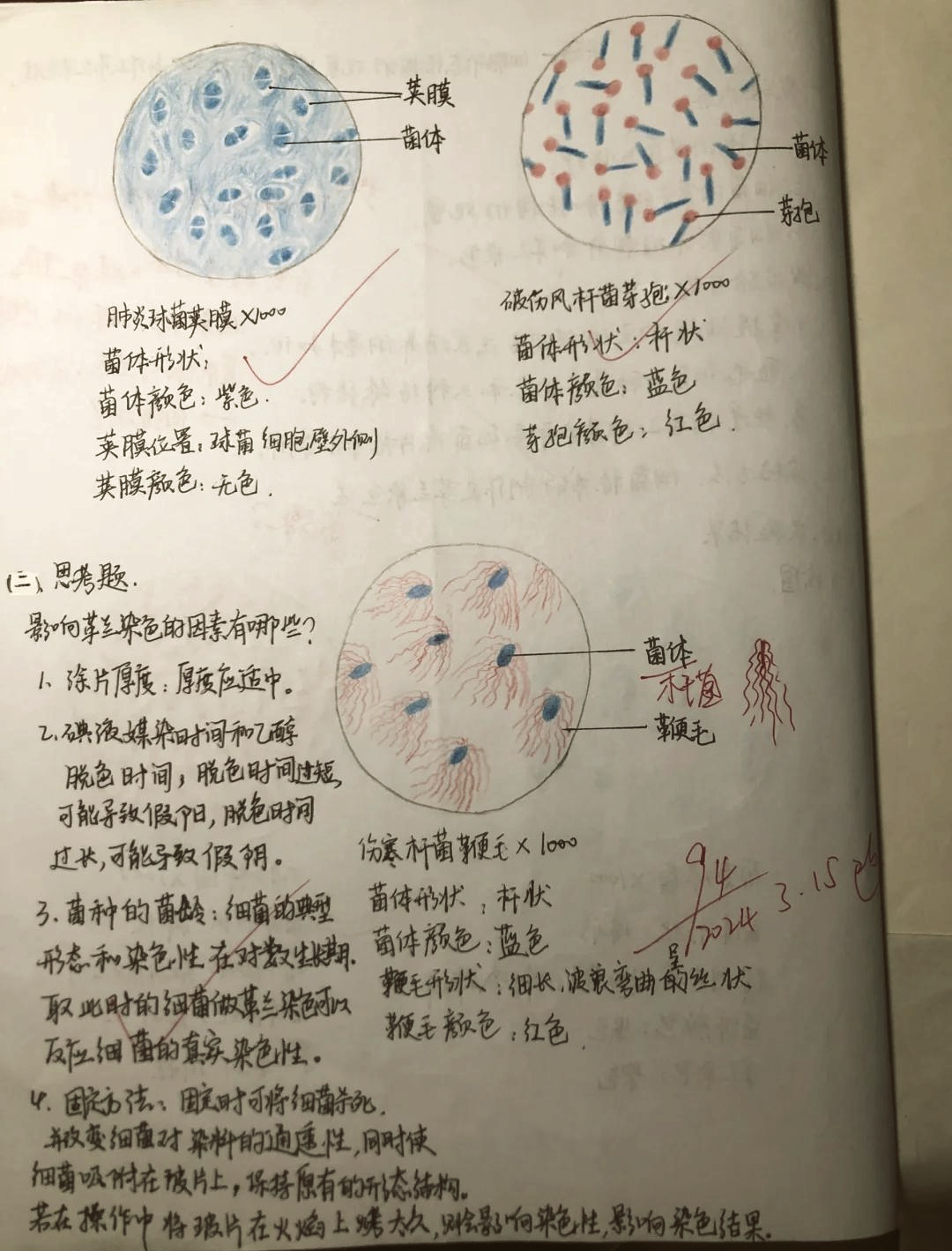 生命科学史细菌,细菌学创始人是谁