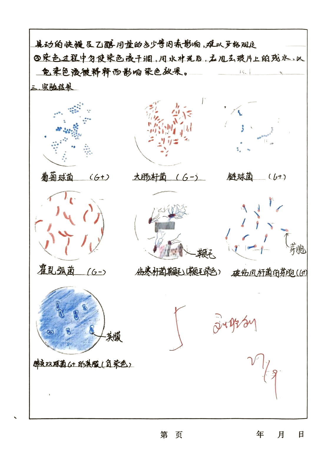 生命科学史细菌,细菌学创始人是谁 生命科学史细菌,细菌学创始人是谁