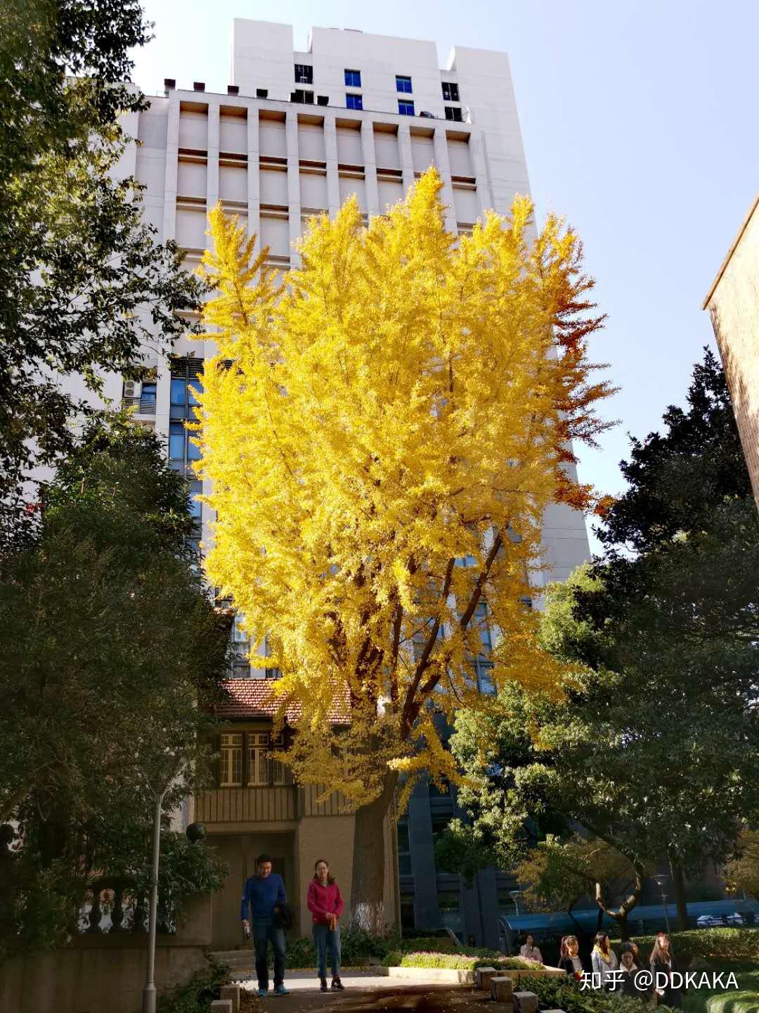 万港生命科学研究院,万港生命科学研究院官网
