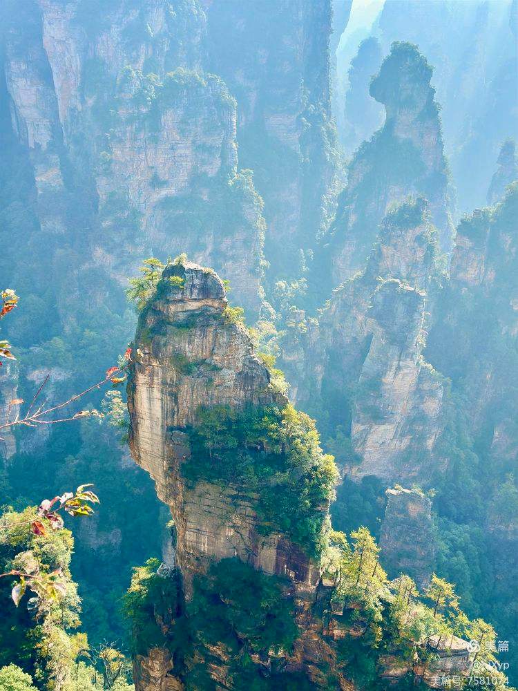 科技前沿阿凡达悬浮山,科幻电影中的高新技术有哪些