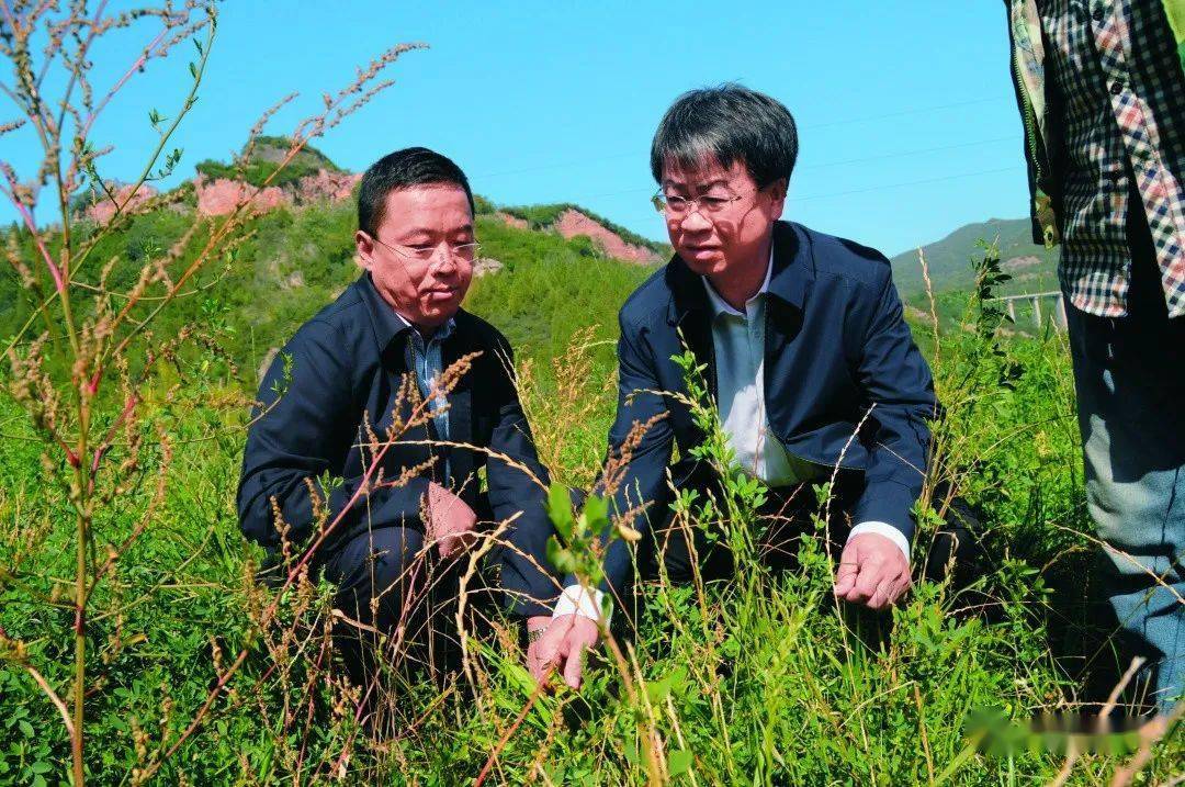 采访地球科学,采访地球科学的感受 采访地球科学,采访地球科学的感受