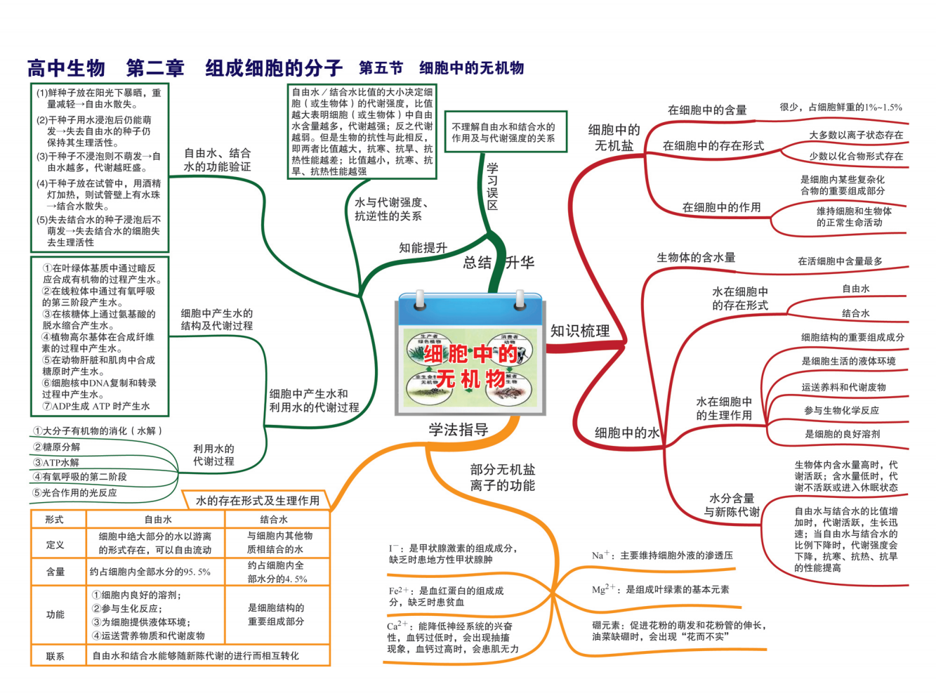 生命科学各分支解析,生命科学a203925