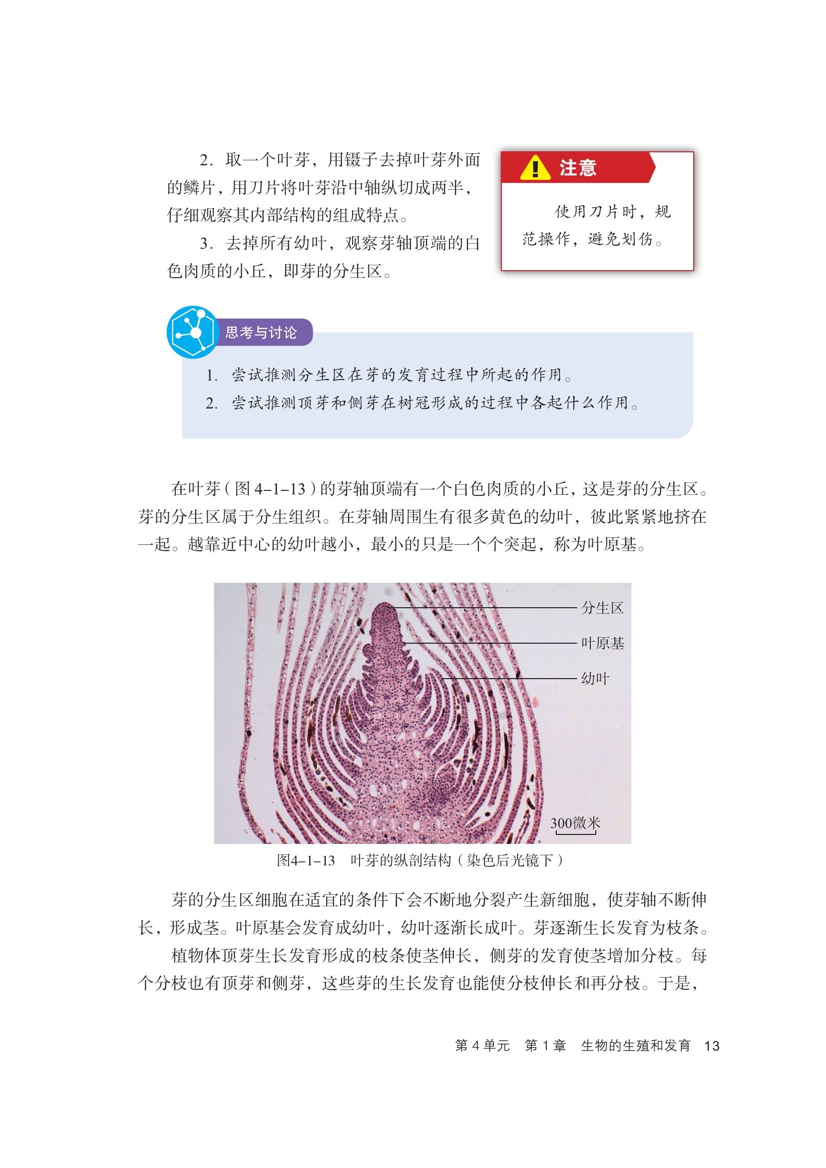 初中生命科学教学答案,初中生命科学教学答案七年级