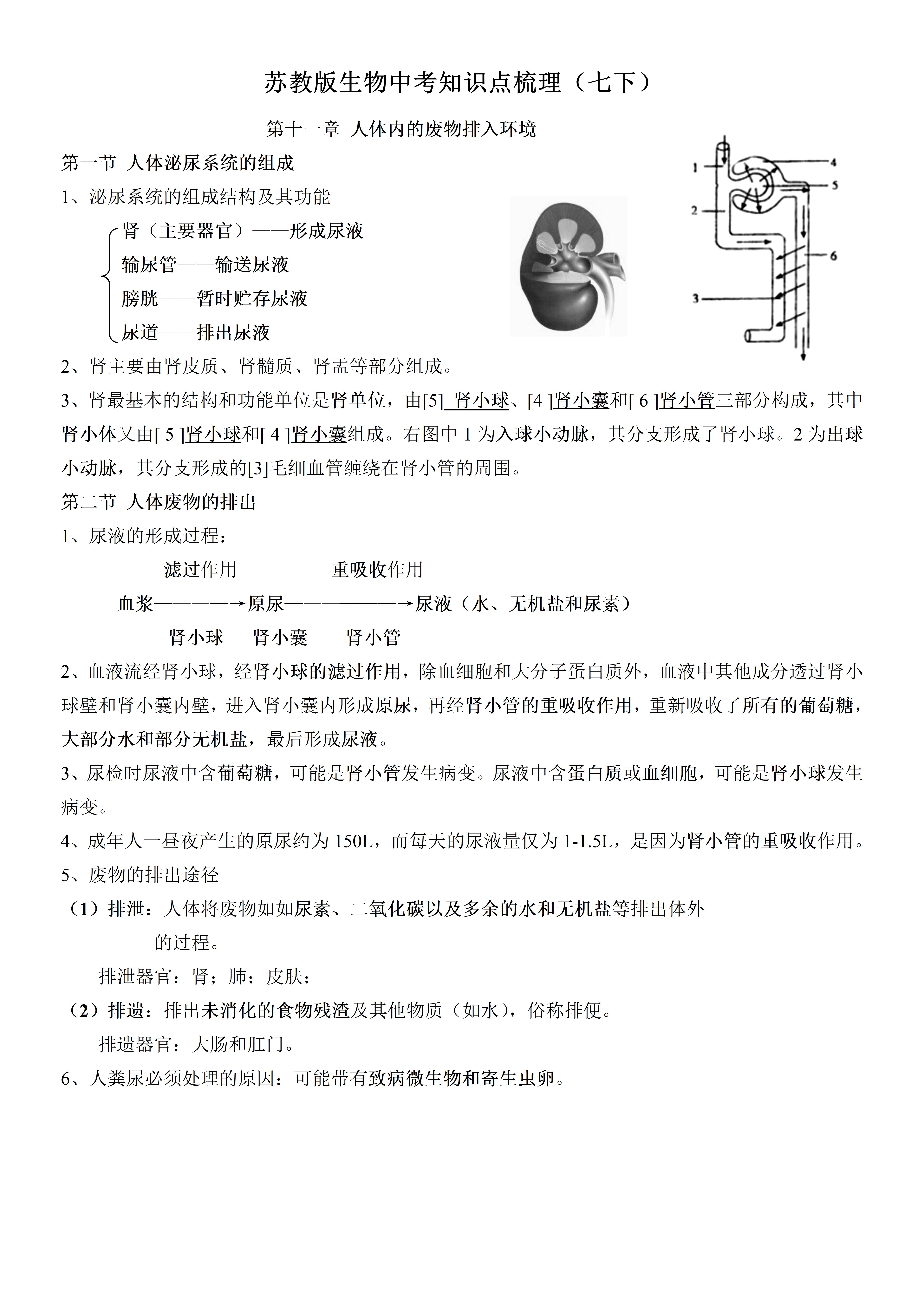 初中生命科学教学答案,初中生命科学教学答案七年级