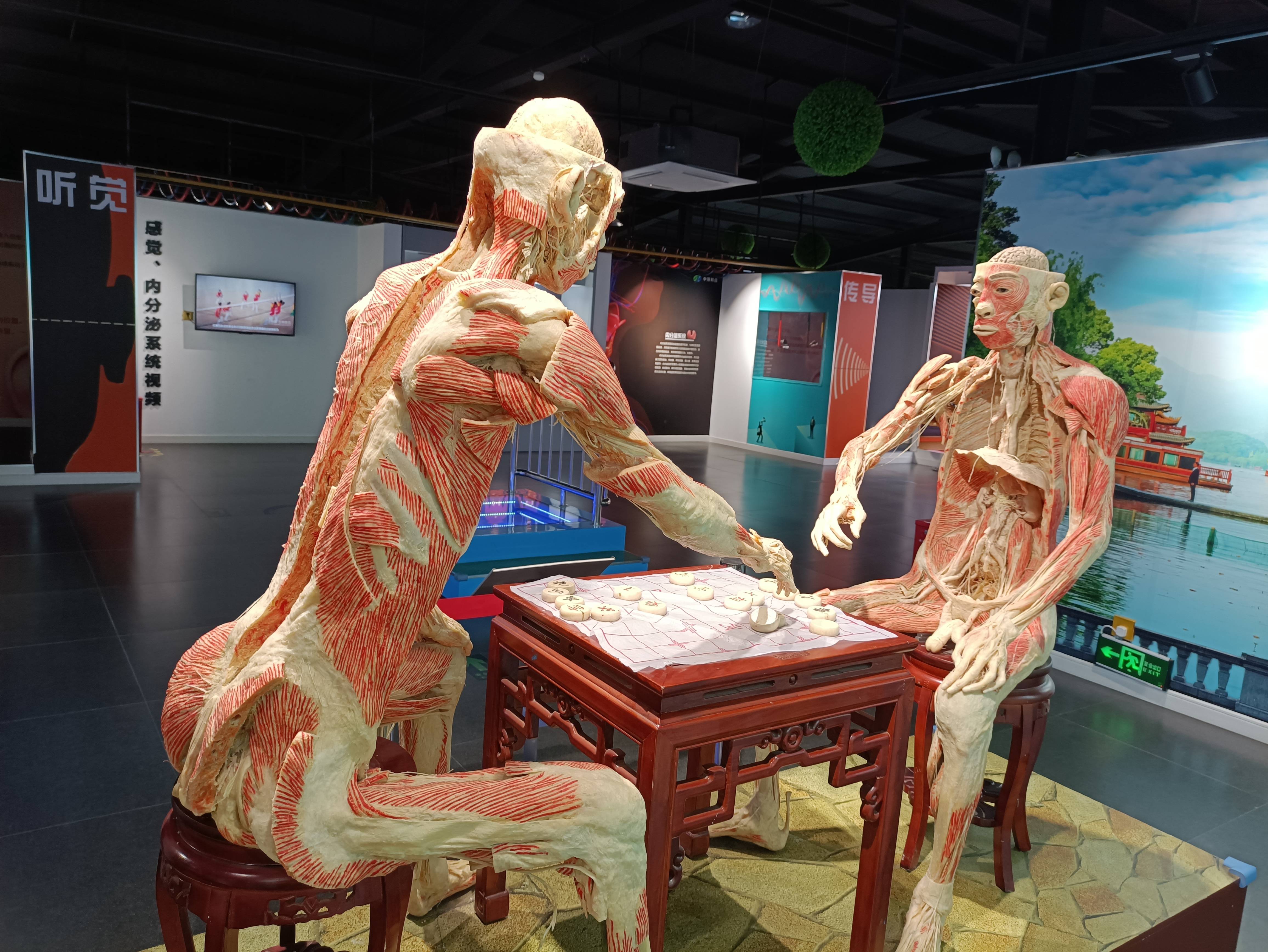 兰州人体生命科学馆,兰州人体生命科学馆地址