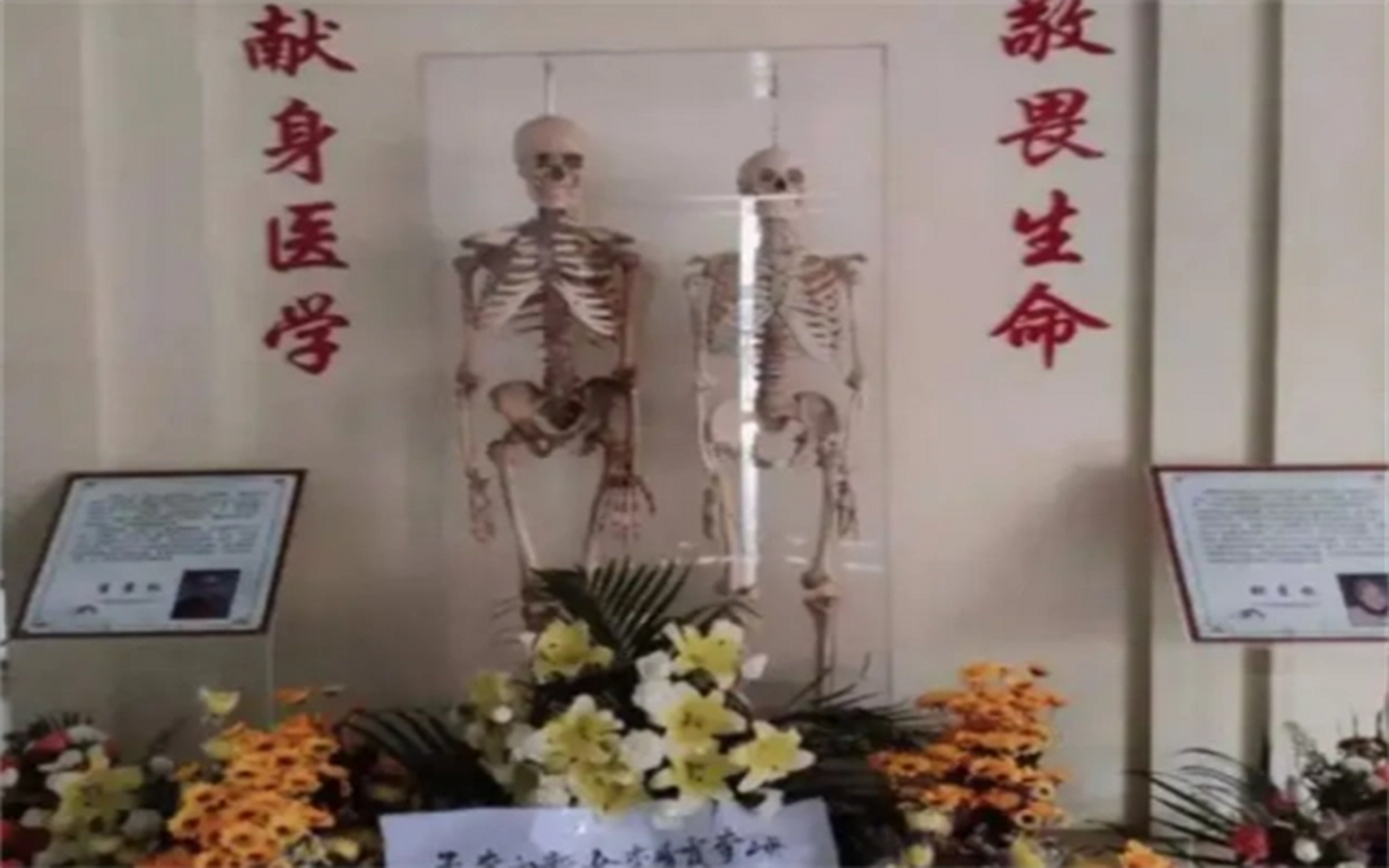 昆明生命科学馆门票,昆明生命科学馆门票多少钱