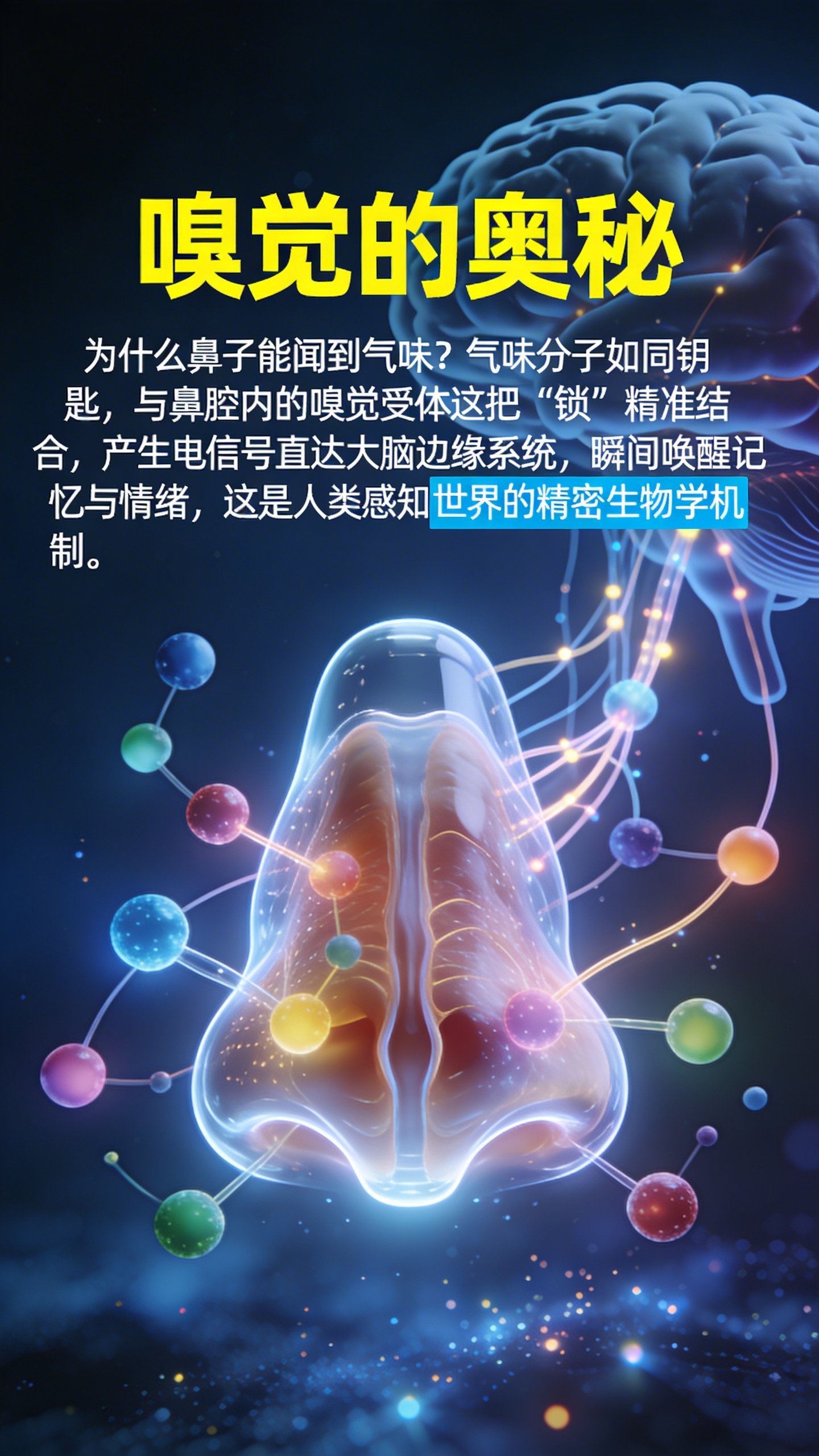 生命科学的兴起,生命科学基本概念的演变