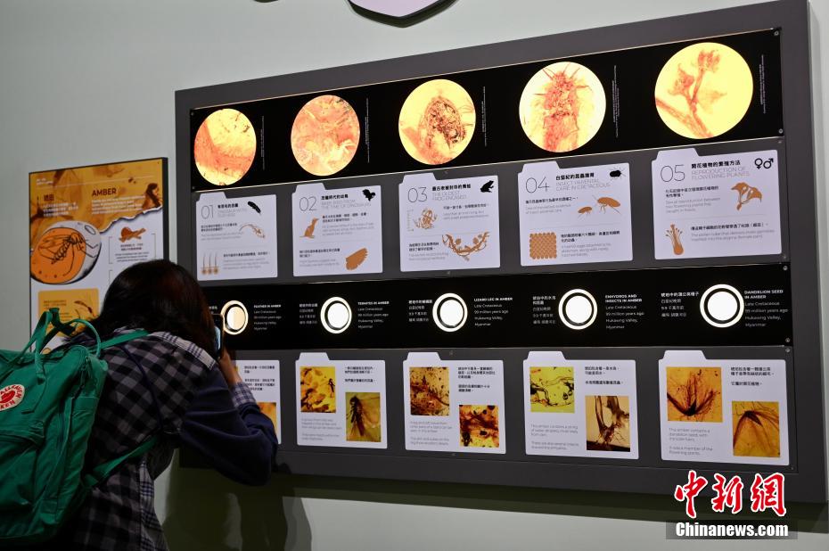 地球科学展品介绍图片,地球科学展品介绍图片简单