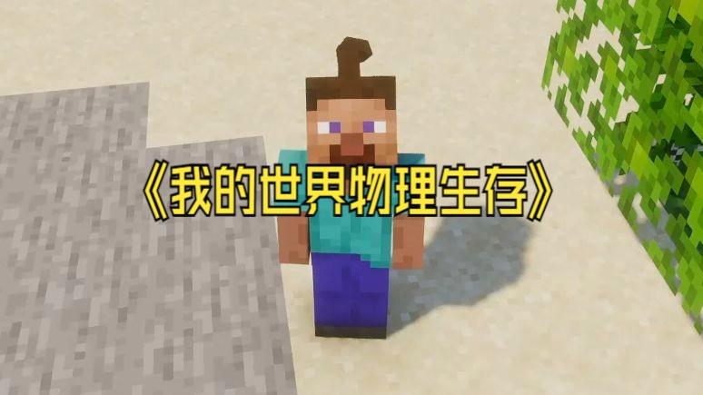 我的世界物理完整版,我的世界195手机版