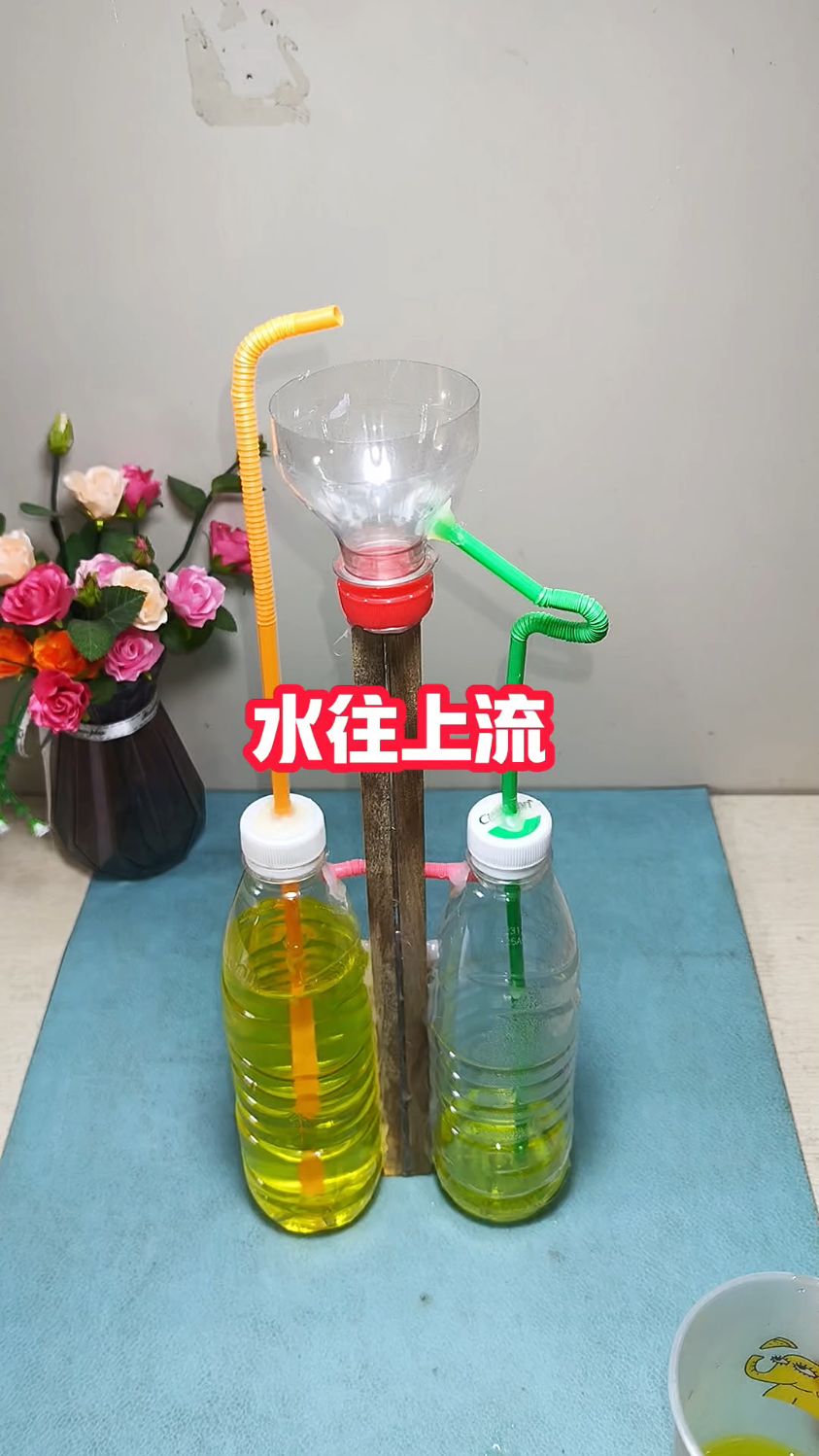 青少年生命科学小实验,青少年科学实验能力大赛生物