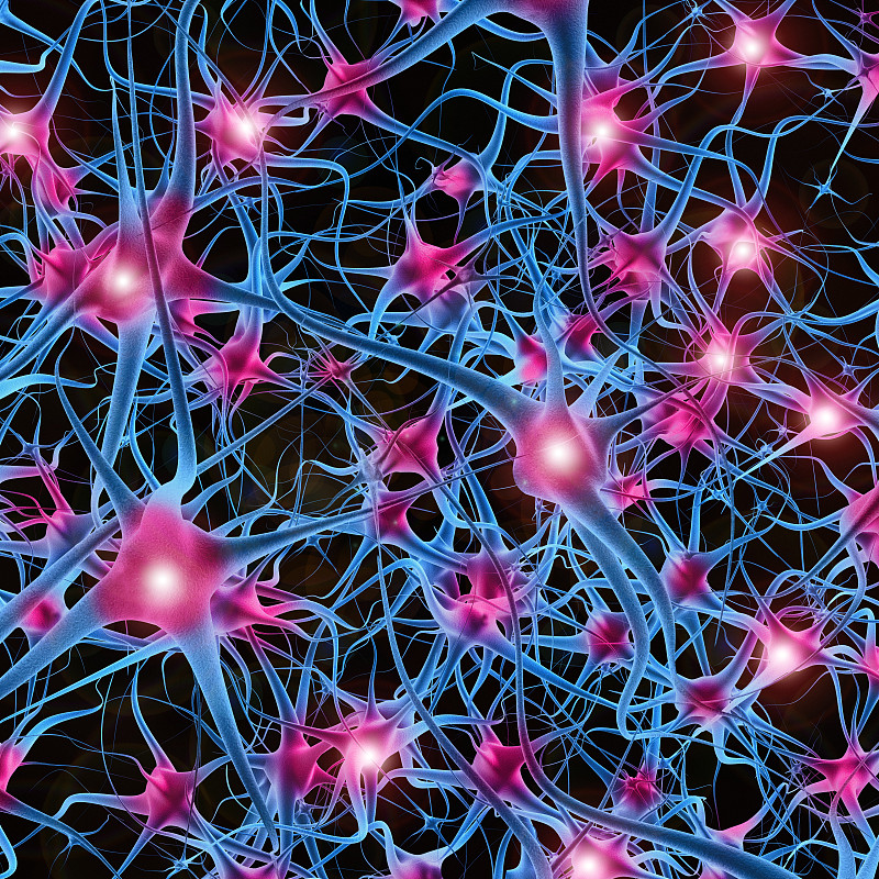 生命科学插画专业术语,生命科学插画专业术语有哪些