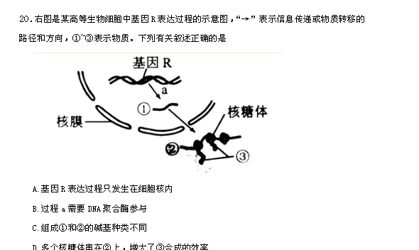 生命科学高二下第二册,高中生物学学生读本电子版 生命科学高二下第二册,高中生物学学生读本电子版