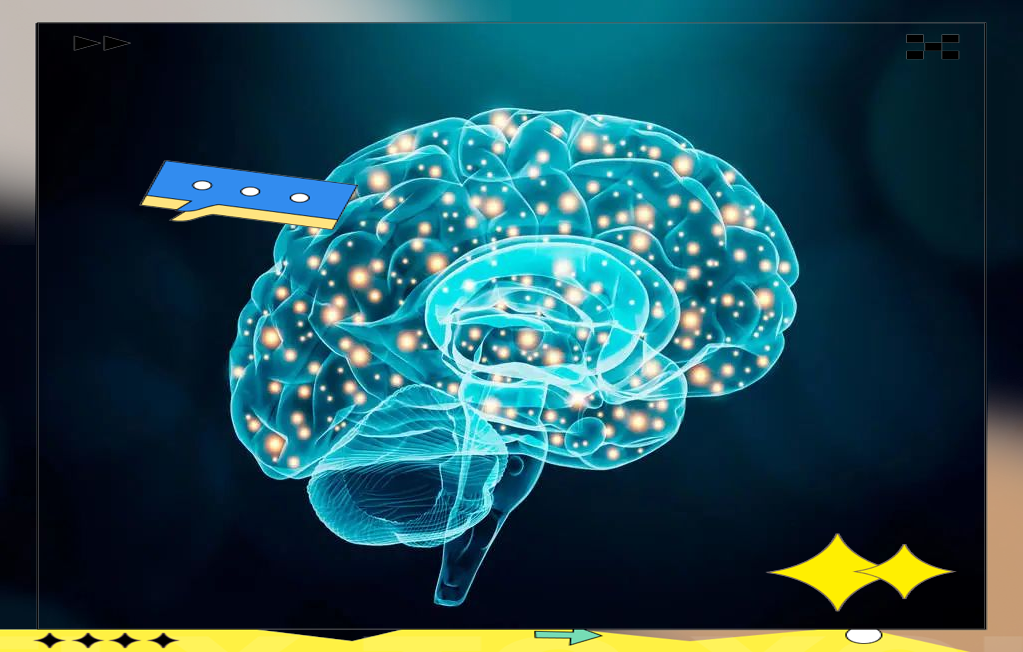 生命科学研究的要素,生命科学包含哪些内容