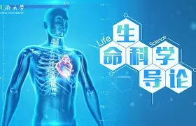 生命科学笔译教学大纲,生命科学笔译教学大纲是什么