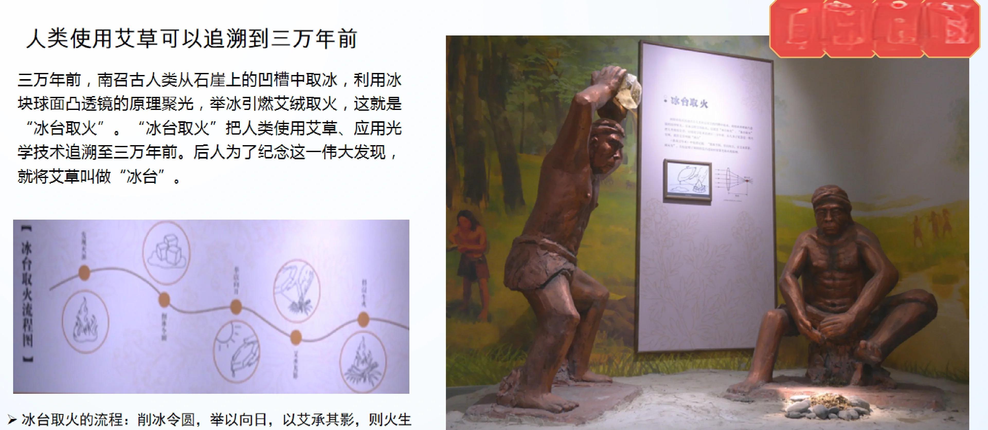 生命科学的历史事件,生命科学的100个故事 生命科学的历史事件,生命科学的100个故事