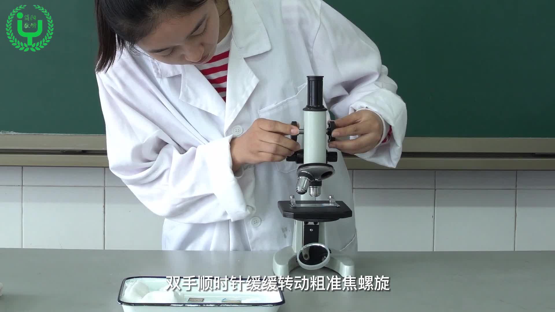 现代生命科学视频,现代生命科学在生活中的应用
