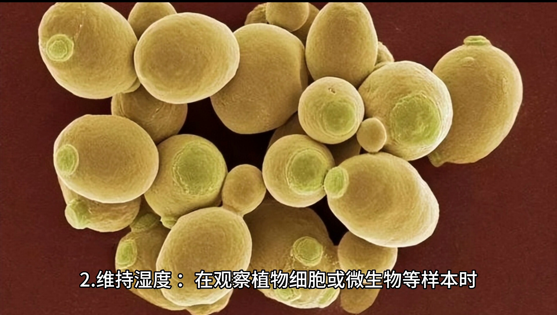 现代生命科学视频,现代生命科学在生活中的应用 现代生命科学视频,现代生命科学在生活中的应用