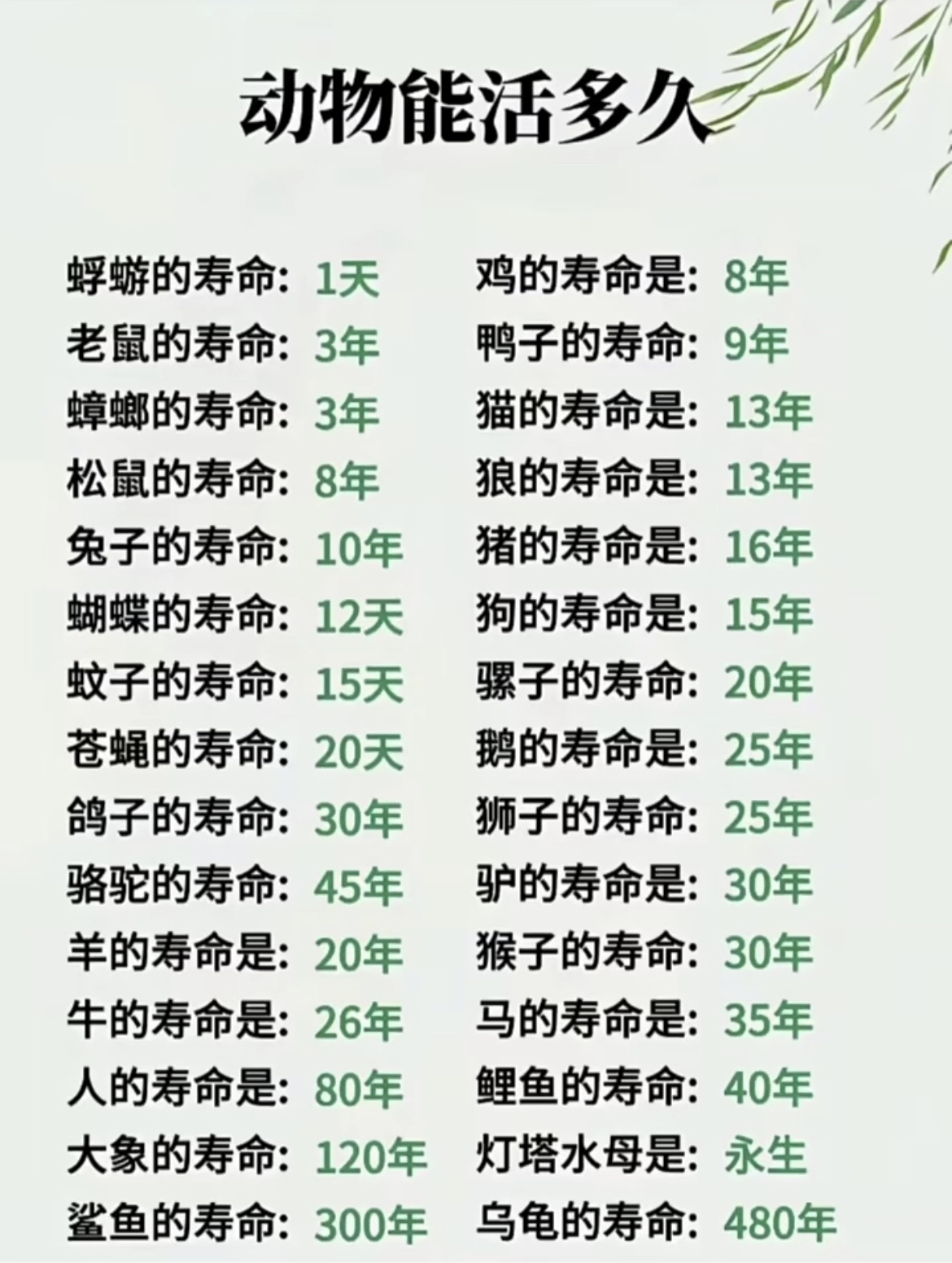 生命科学年表详尽,生命科学的进程对照 生命科学年表详尽,生命科学的进程对照