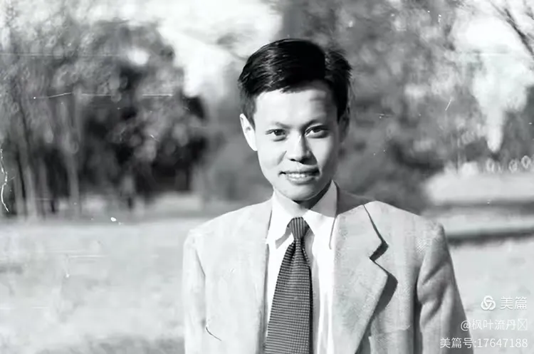 杨振宁物理世界第几,杨振宁可以排史上物理学家第几