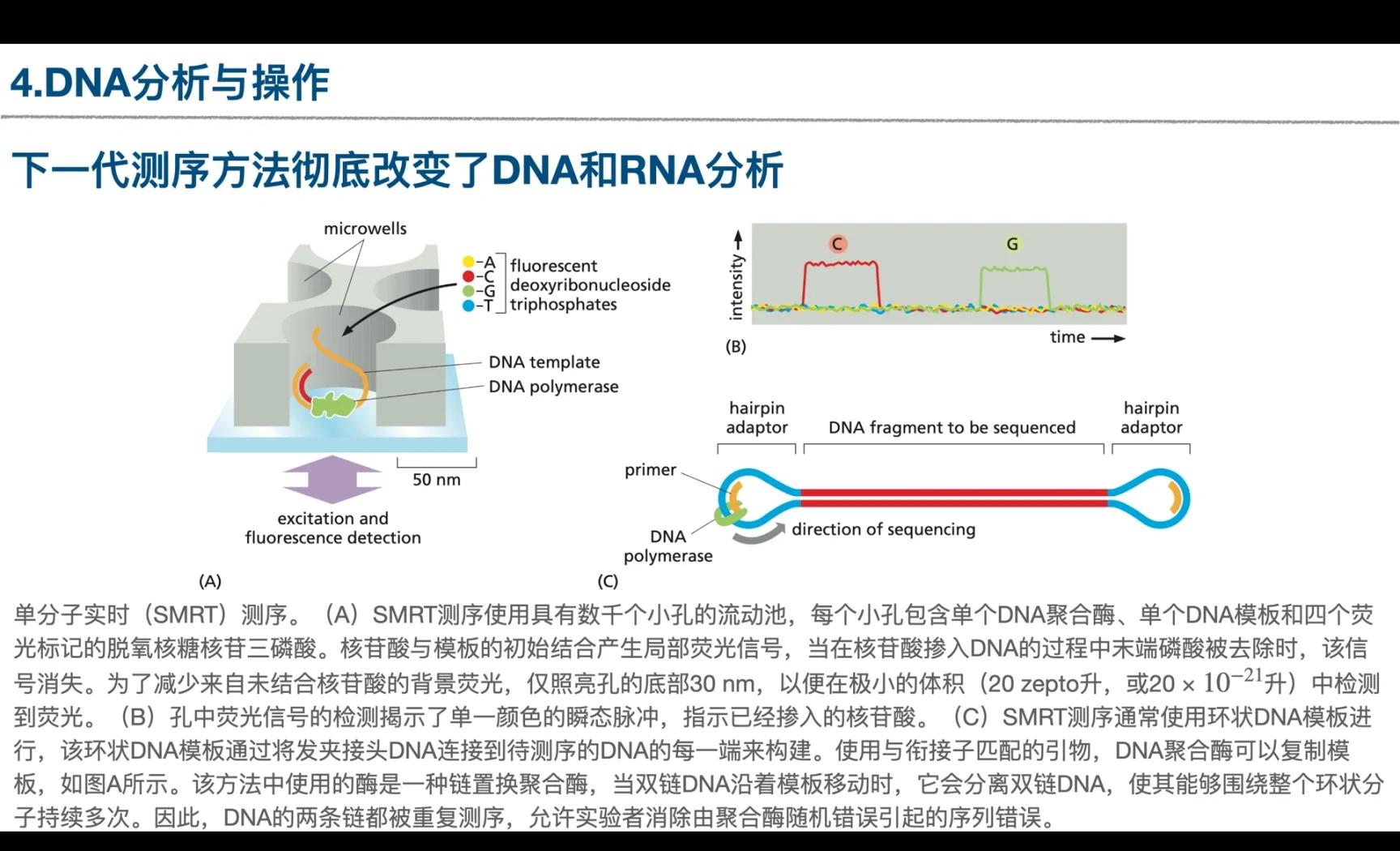 如何运用生命科学,如何运用生命科学实验