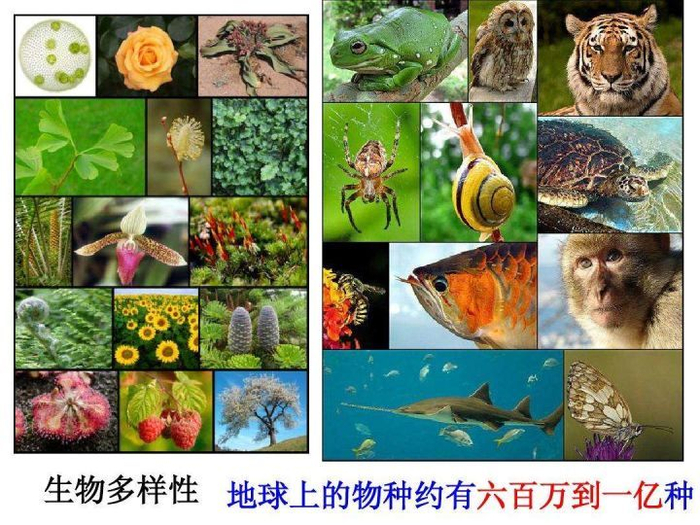 地球科学科学家名单公布,10位地球学领域的科学家