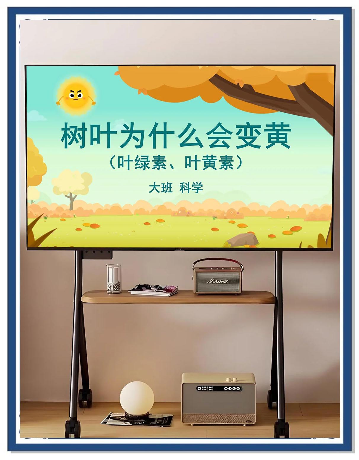 大班生命科学主题,大班科学公开课视频完整版 大班生命科学主题,大班科学公开课视频完整版