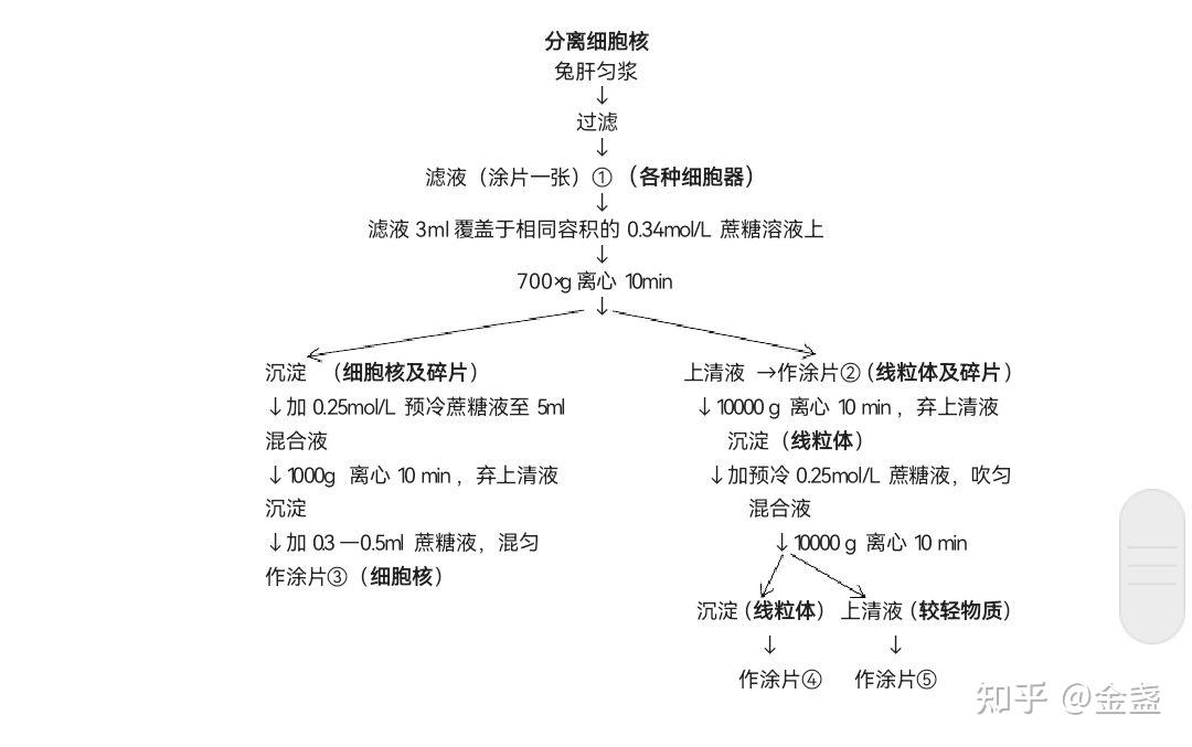 生命科学多大年纪能考,生命科学多大年纪能考教师编