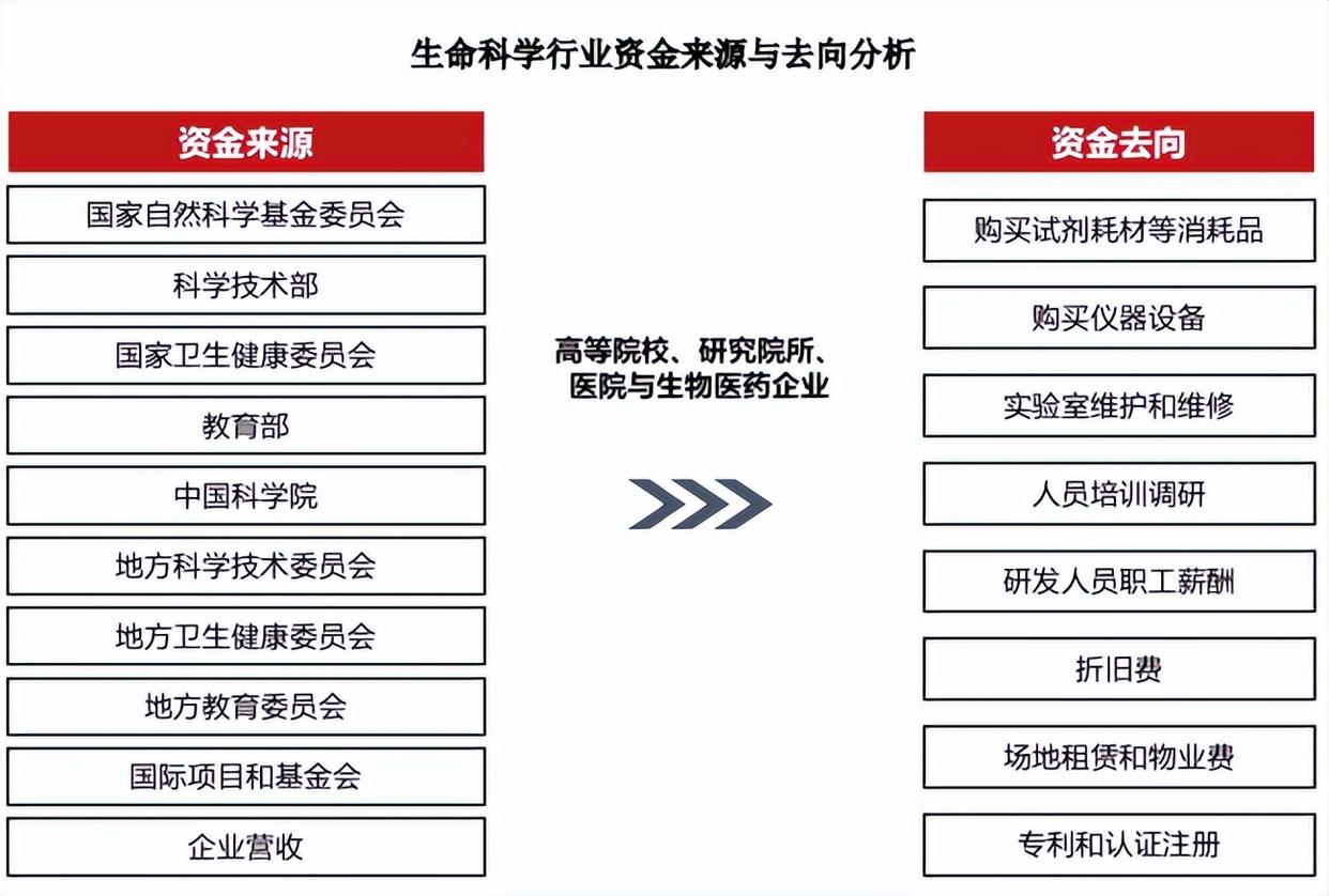 生命科学案例分析模板,生命科学案例分析模板图片