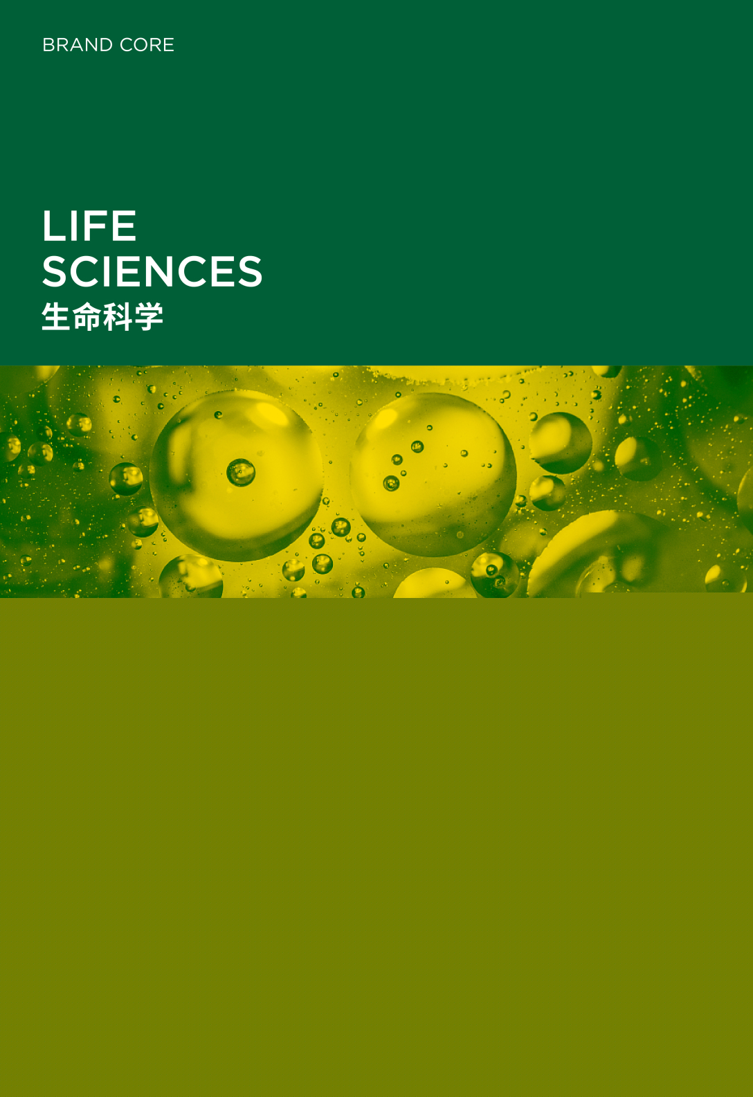 生命科学研究的魅力,生命科学研究的魅力是什么