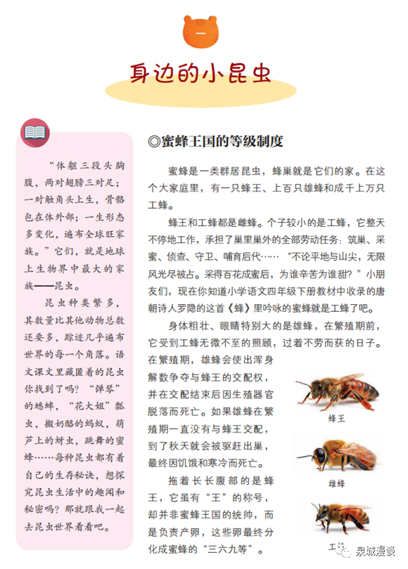 小学生生命科学类科普,小学生命科学社团学什么
